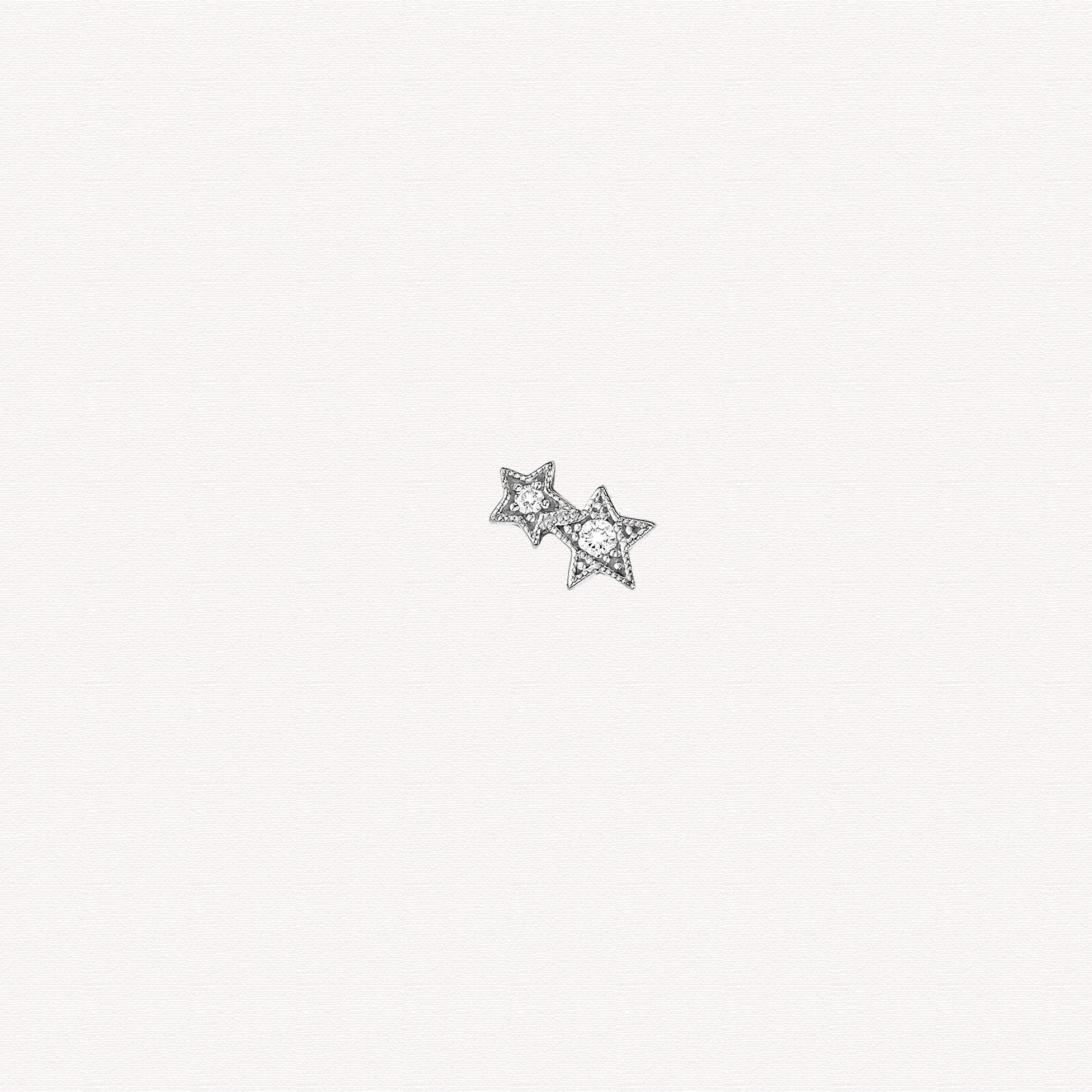 Earrings - Stardust